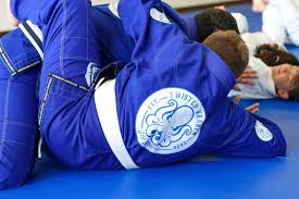Image result for Northern Academy of Ju-Jitsu