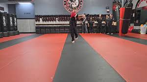 Image result for Elite Force Martial Arts