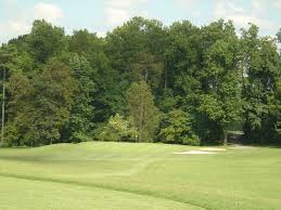 Image result for Blairbeth Golf Club