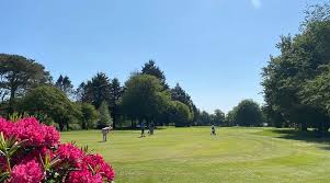 Image result for Chard Cricket Club