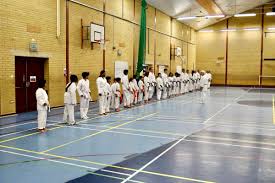 Image result for Soncho Karate Club