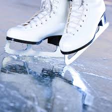 Image result for Solihull Recreational Ice Dancing Club