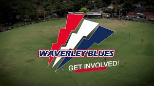 Image result for Waverley Netball Club