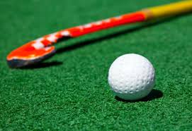 Image result for Bolton Hockey Club