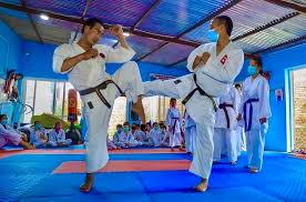 Image result for Association Of Sport Martial Arts