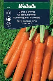 Attēlu rezultāti vaicājumam “Daucus sativus”