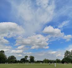 Image result for Rolleston Cricket Club