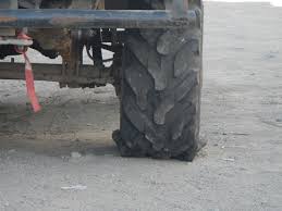 Картинки по запросу белку зажевало в диск