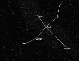 Attēlu rezultāti vaicājumam “Cygnus”