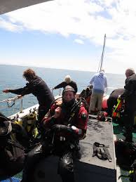 Image result for Reading Bsac