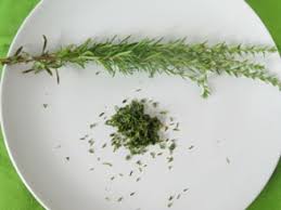 Image result for Bohnenkraut