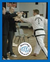 Image result for Surrey Taekwondo