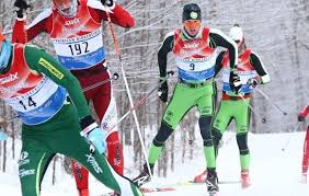 Image result for Gordon Skiers