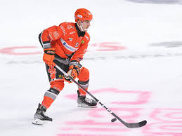 Image result for Sheffield Steelers