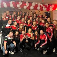 Image result for Tir Chonaill Gaels G A A Club