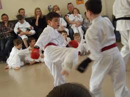 Image result for Cobra Karate Club