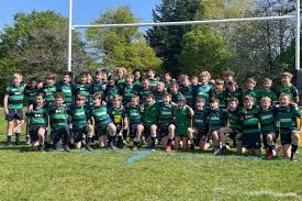 Image result for Reigate Rugby Football Club