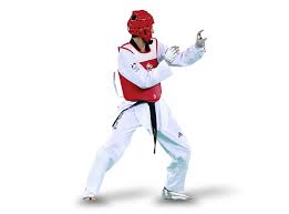 Image result for Stoke UTA Olympic Taekwondo
