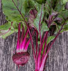 Image result for Beta vulgaris