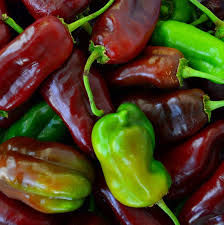 Afbeeldingsresultaat voor chocolate beauty sweet pepper