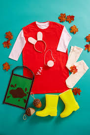 Image result for peppa pig costume