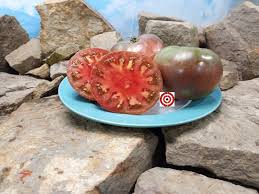 Afbeeldingsresultaat voor 1884 purple tomato