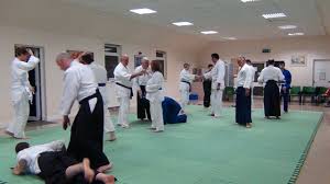 Image result for Coldharbour Aikido Club