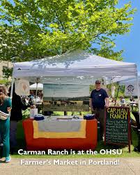 Image result for Carman Stables