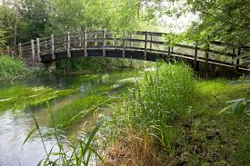 Image result for Steeple Langford Cricket Club