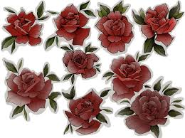 Image result for Red Rose Cc