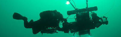Image result for Great Western Divers