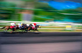 Image result for Elite Racing Club