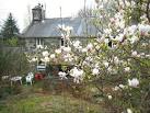 Y Magnolia yn dod a naws Asia - via Daymix