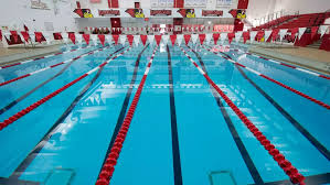 Image result for Oxford University Swimming Club