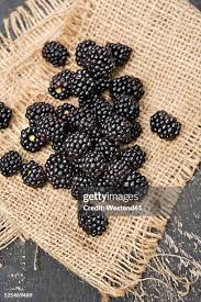 Image result for Rubus sectio