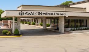 Image result for Avalon Lifestyle Centres
