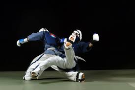 Image result for Yoseikan Budo England