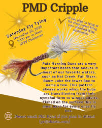 Image result for Kirkham and District Fly Fishers` Club