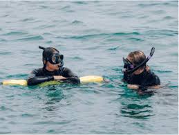 Image result for Wyndley NSC Snorkelling Club