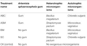 Attēlu rezultāti vaicājumam “Gymnostomum calcareum macro”