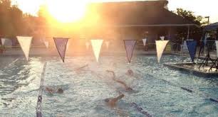 Image result for Tynedale Swimming Club