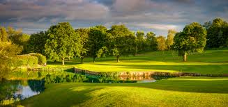 Image result for Newton Abbot Somersaults Gc