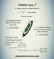Image result for numero aureo