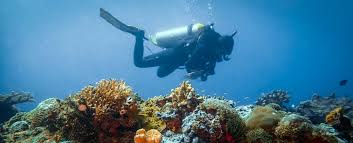 Image result for Scuba Fun