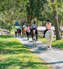 Image result for Palmers Riding Stables