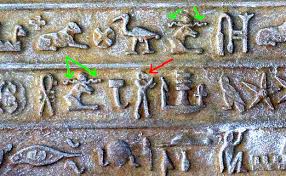 Image result for Reptilian egypt