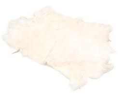 Image result for white rabbit skin texture