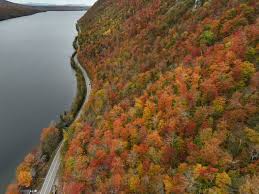 Bildergebnis für Fall…