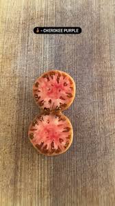 Afbeeldingsresultaat voor prudence purple tomato