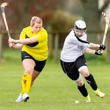 Image result for World of Shinty